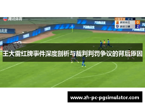 王大雷红牌事件深度剖析与裁判判罚争议的背后原因