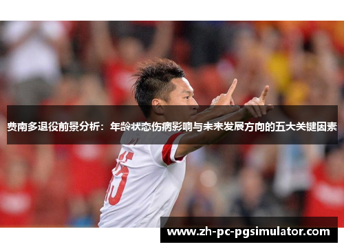 费南多退役前景分析：年龄状态伤病影响与未来发展方向的五大关键因素