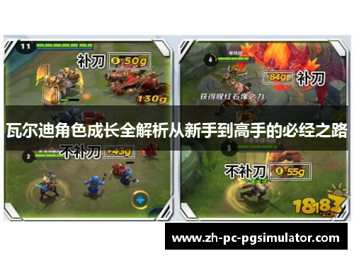 瓦尔迪角色成长全解析从新手到高手的必经之路