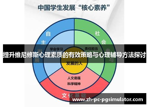 提升维尼修斯心理素质的有效策略与心理辅导方法探讨