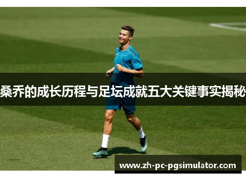 桑乔的成长历程与足坛成就五大关键事实揭秘