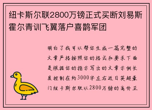 纽卡斯尔联2800万镑正式买断刘易斯霍尔青训飞翼落户喜鹊军团